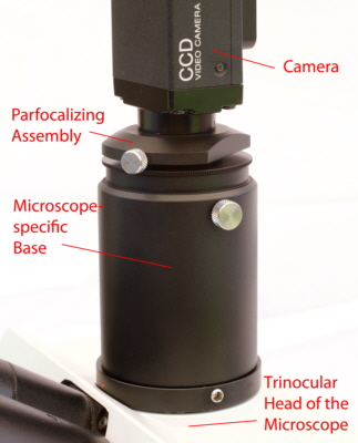 Universal Direct Parfocalizing C-Mount Camera Adapter for Microscopes